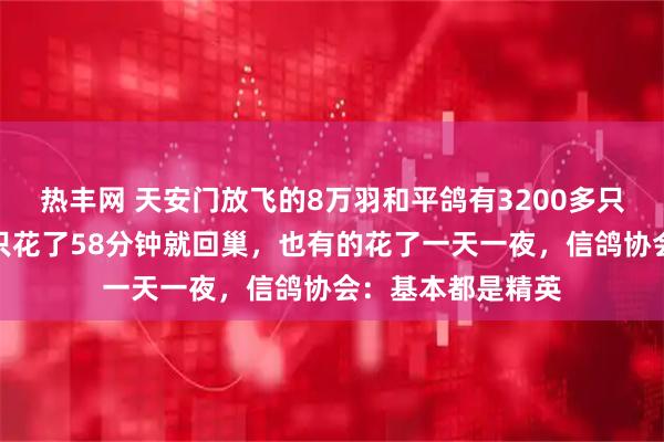 热丰网 天安门放飞的8万羽和平鸽有3200多只来自天津，最快只花了58分钟就回巢，也有的花了一天一夜，信鸽协会：基本都是精英