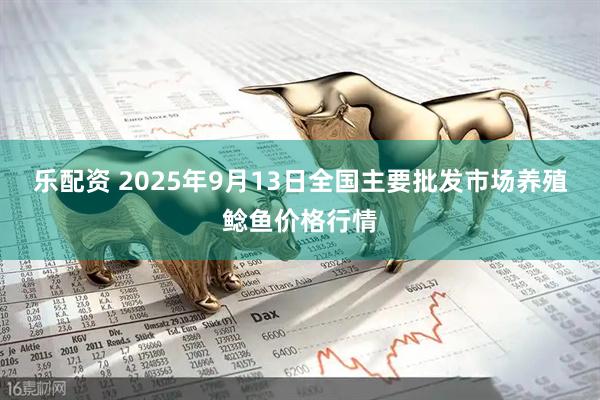 乐配资 2025年9月13日全国主要批发市场养殖鲶鱼价格行情