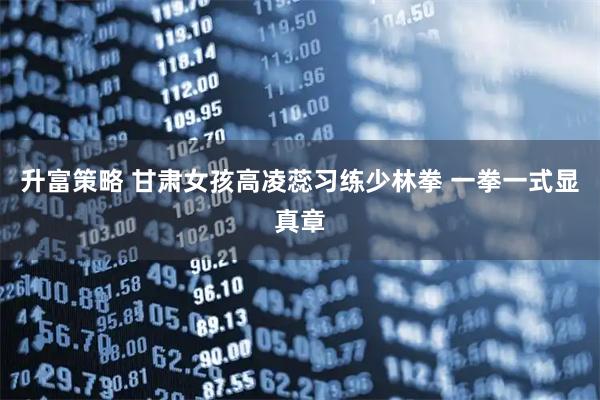 升富策略 甘肃女孩高凌蕊习练少林拳 一拳一式显真章