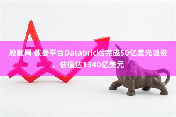 股顺网 数据平台Databricks完成50亿美元融资，估值达1340亿美元